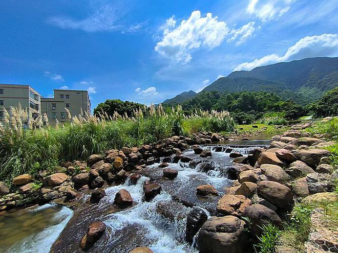 博时市场点评10月22日：A股震荡向上，家电板块领涨